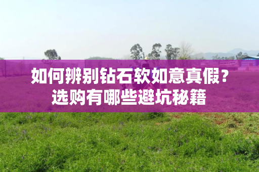如何辨别钻石软如意真假？选购有哪些避坑秘籍
